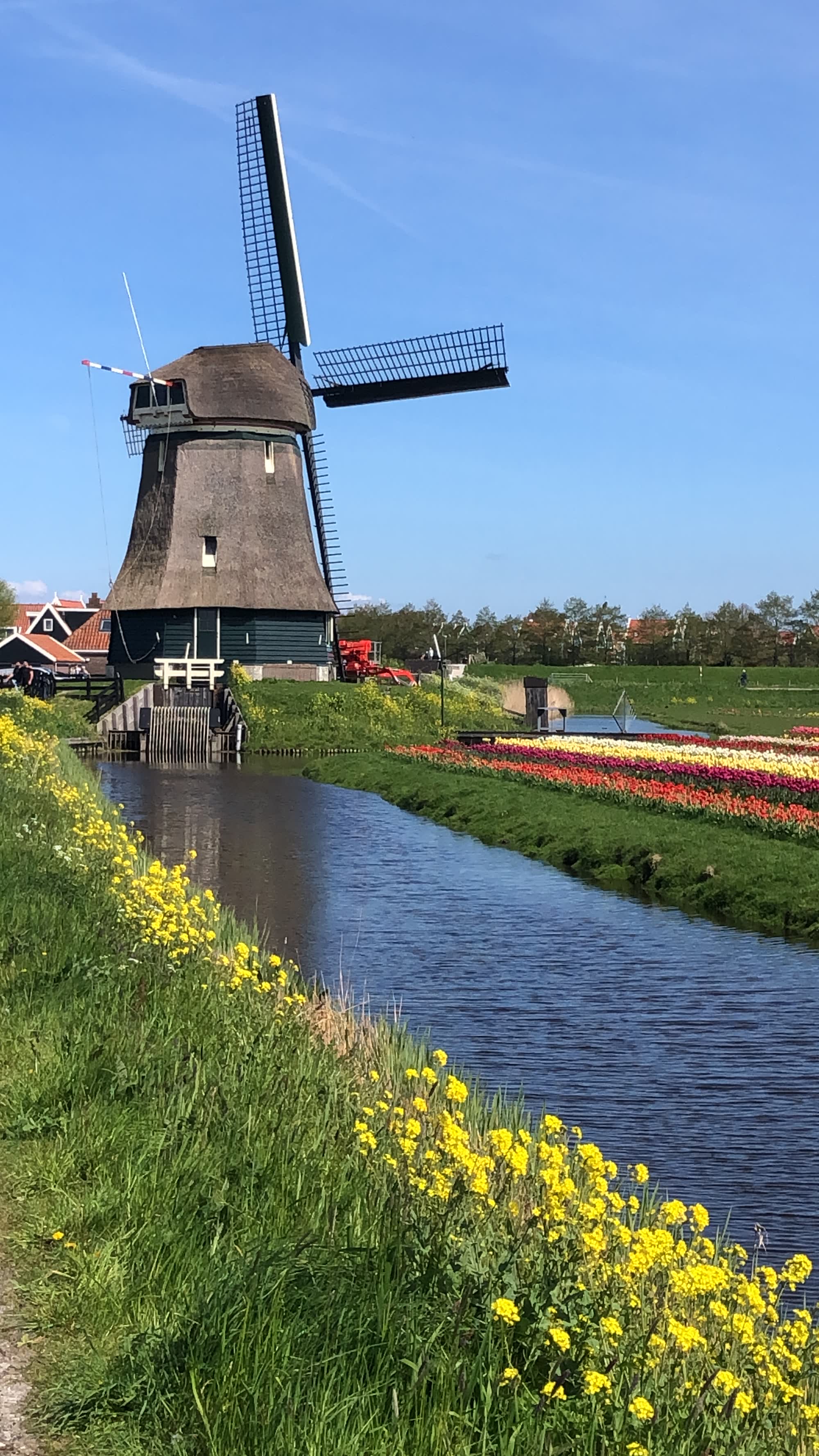 Een Hollandse molen tijdens het uitje